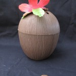 Coconut Cup - Significant Objects